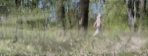 Isabella Berr "Figur im fluss"