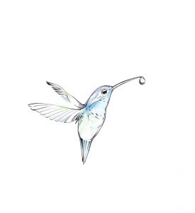 Kolibri mit Tropfen (Julian Opitz)